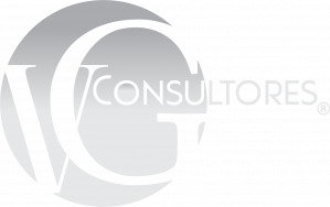 VG Consultores_Logo